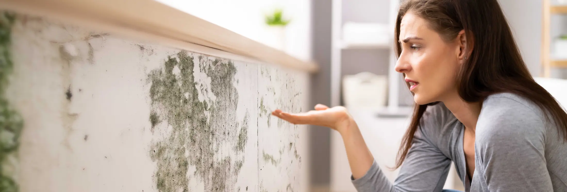 Fallrohrsanierung Deutschland Fallrohrsanierung Deutschland